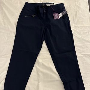 Lane Bryant Blue Skinny Pants